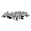 Flowers ｜ Roses ｜ Bouquets ｜ Plants-Pictograms ｜ Free illustration material